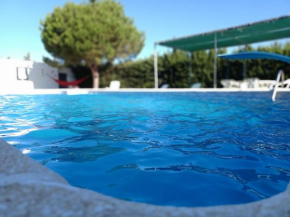 SOLECITO